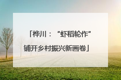 桦川：“虾稻轮作”铺开乡村振兴新画卷